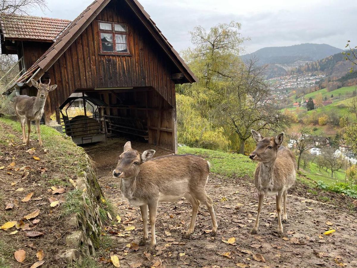 Einzigartiges Apartment, Mitten In Der Natur Ottenhofen im Schwarzwald المظهر الخارجي الصورة