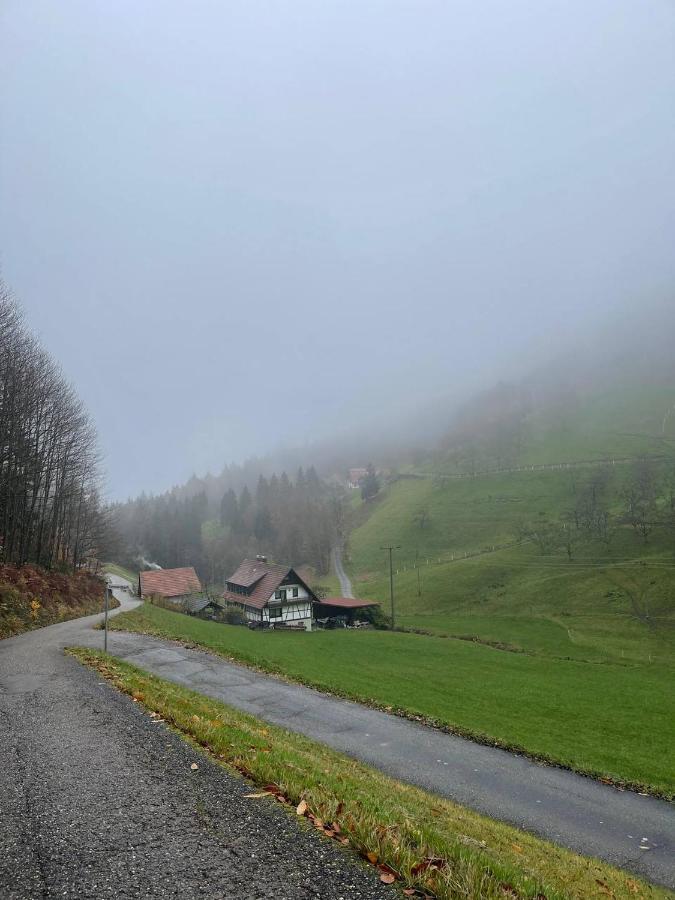 Einzigartiges Apartment, Mitten In Der Natur Ottenhofen im Schwarzwald المظهر الخارجي الصورة