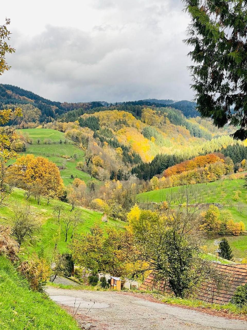 Einzigartiges Apartment, Mitten In Der Natur Ottenhofen im Schwarzwald المظهر الخارجي الصورة